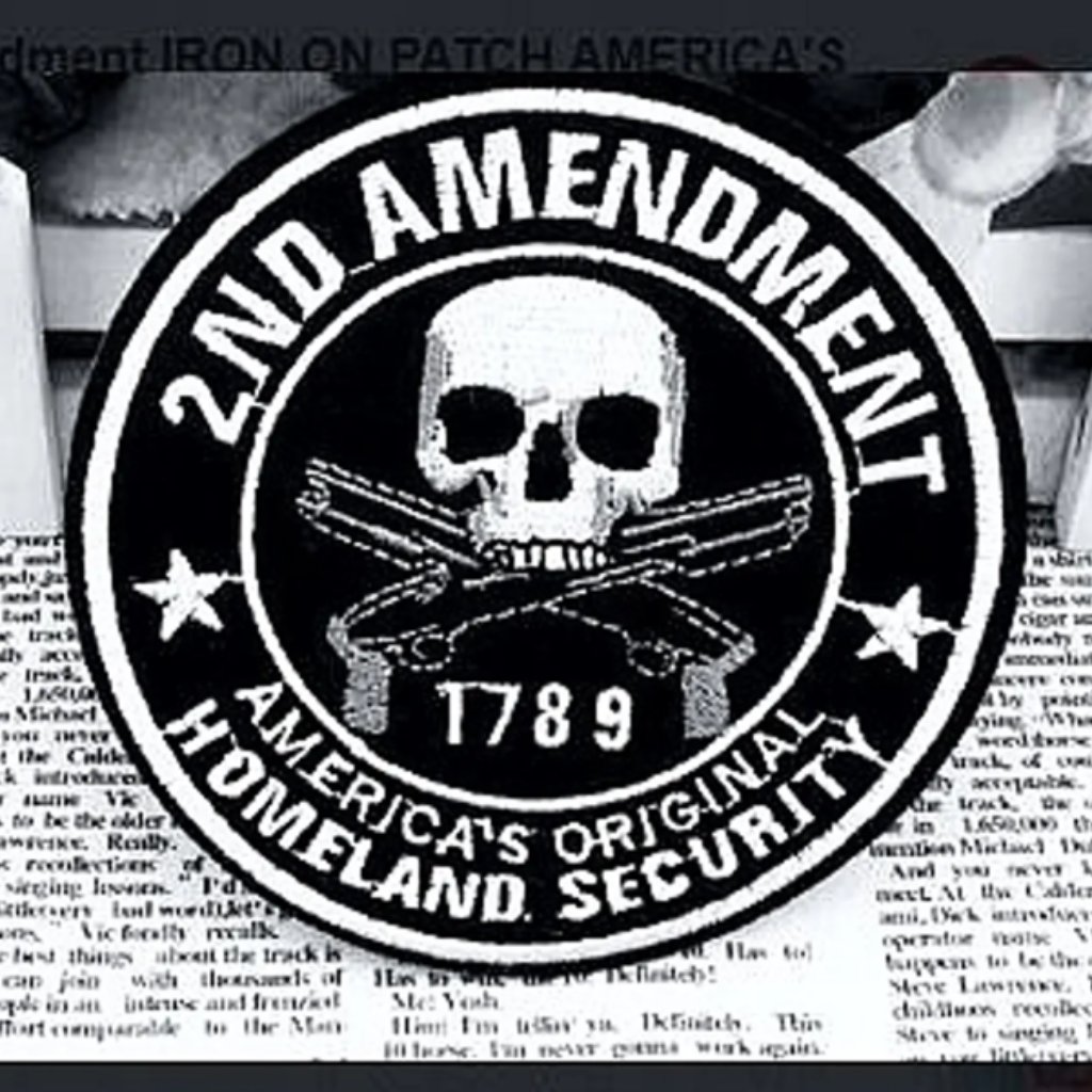 1 New 2nd Amendment Iron On Patch Americas Original Domestic Round Patch Skull